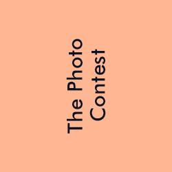 the photo contest